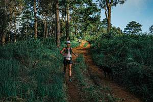 BIB: 
                            <button type="button" onclick="openModal(25654584)" class="btn btn-primary btn-sm float-right btn-popup" data-toggle="modal" data-target=".modal-high-quality">
                        <i class="fas fa-shopping-cart"></i> Add to Cart
                    </button>
                                            <button type="button" onclick="isThisMe(25654584, true)" class="btn btn-success btn-sm float-right btn-popup btn-isme hidden" data-toggle="tooltip" data-placement="bottom" title="นี่คือรูปของคุณใช่ไหม คลิกที่นี่เพื่อเอาเข้าอัลบั้ม">
                        <i class="fas fa-plus"></i> Add to album
                    </button>
                    <button type="button" onclick="isThisMe(25654584, false)" class="btn btn-warning btn-sm float-right btn-popup btn-isnotme hidden">
                        <i class="fas fa-ban"></i> Remove from album
                    </button>